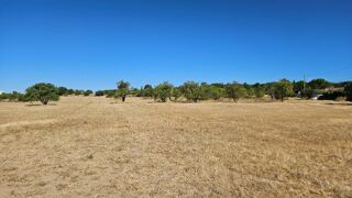  Terrain � vendre 247 m�