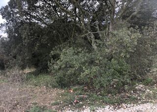  Terrain � vendre 1500 m�