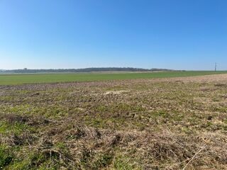  Maison 5 pi�ces 100 m� Haute-avesnes