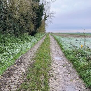  Maison 2 pi�ces 60 m� Roucourt