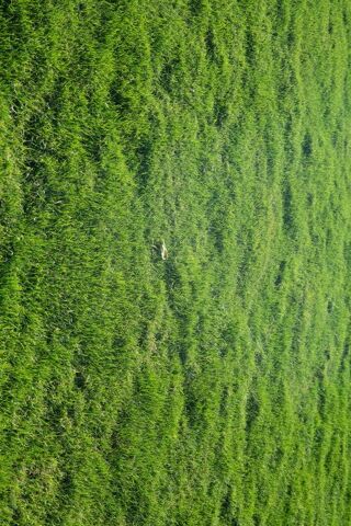  Terrain 347 m� Saint-hilaire-de-riez