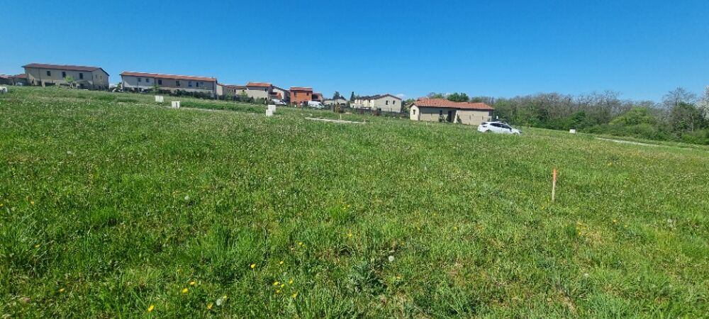 vente Terrain - 618 m² Montanay (69250)