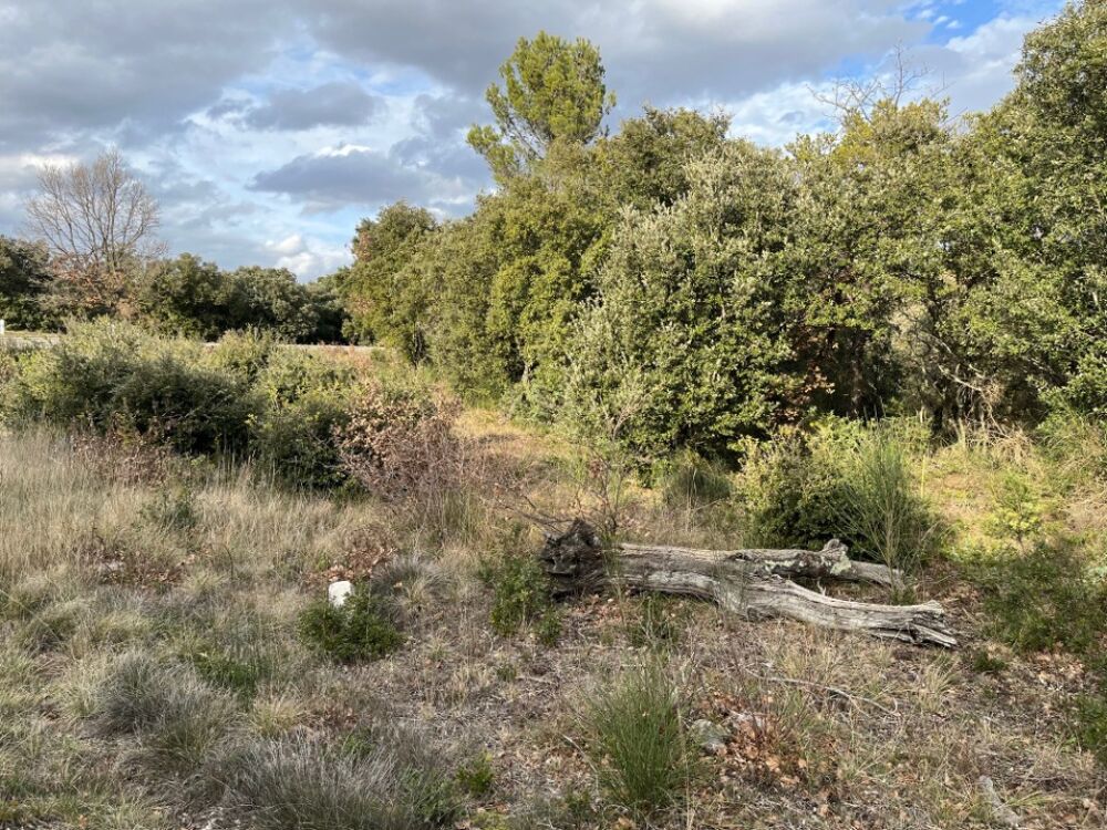 vente Terrain - 875 m² Grignan (26230)