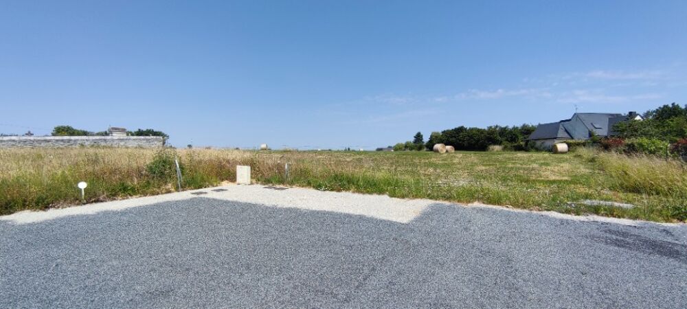 vente Maison - 6 pièce(s) - 153 m² Écouflant (49000)
