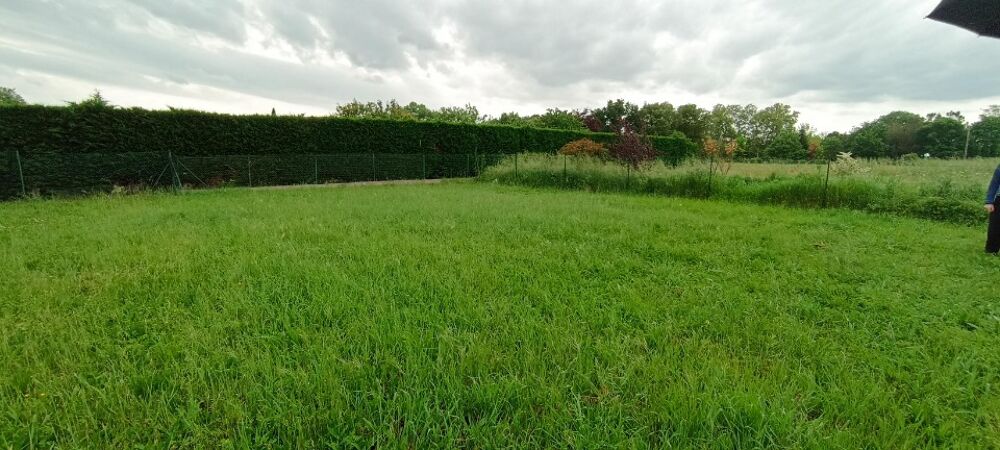 vente Maison - 4 pièce(s) - 75 m² Lasserre (31530)