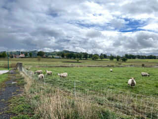  Terrain à vendre 569 m²