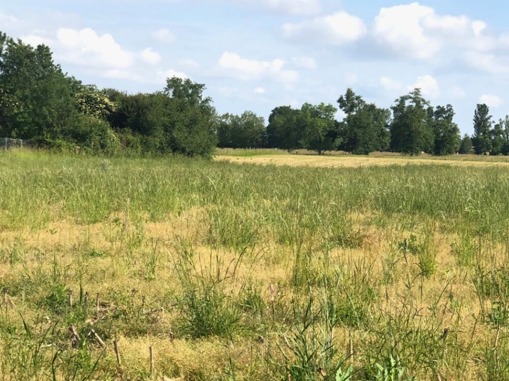 vente Terrain - 480 m² Bâgé-le-Châtel (01380)