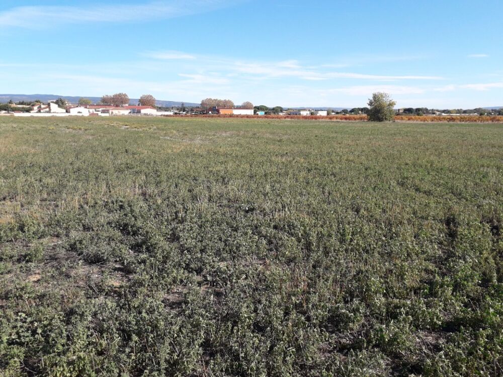 vente Maison - 5 pièce(s) - 138 m² Rieux-Minervois (11160)