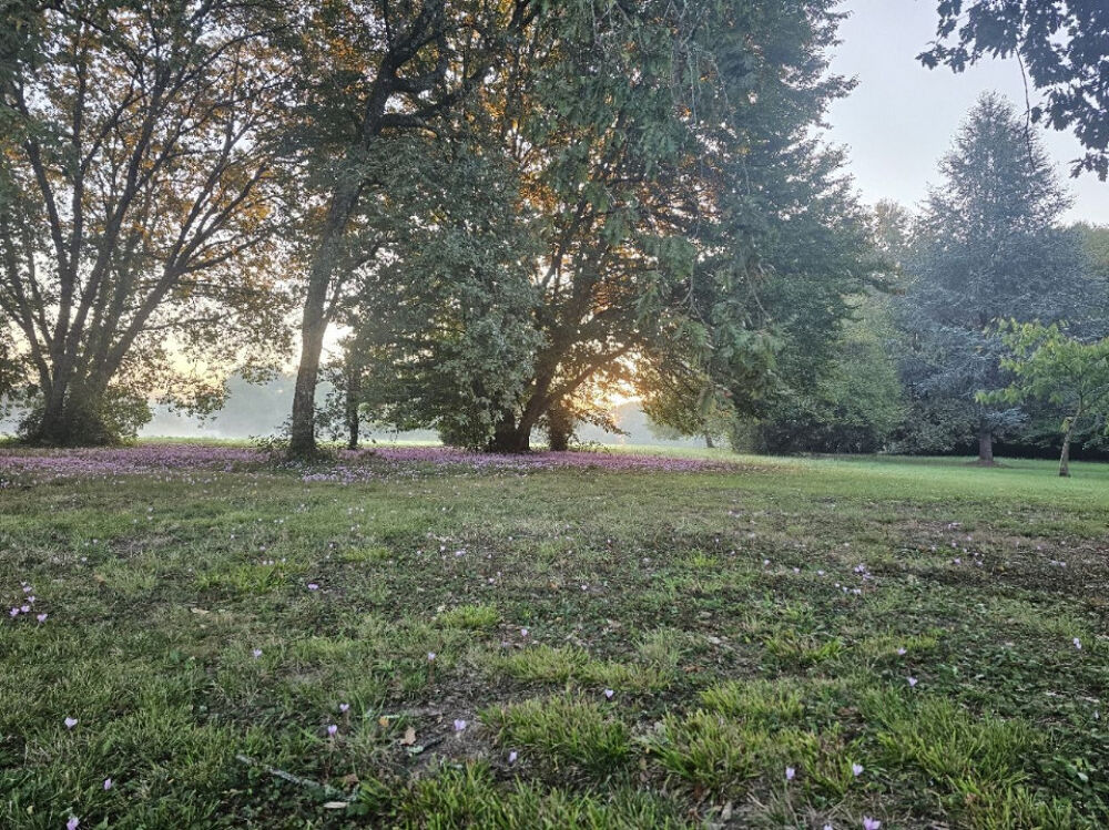 vente Maison - 6 pièce(s) - 132 m² Carignan-de-Bordeaux (33360)