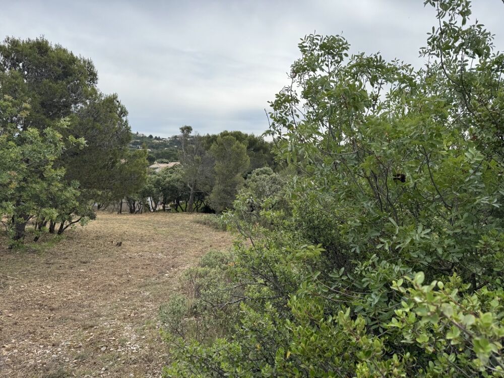 vente Terrain - 384 m² Villeneuve-lès-Avignon (30400)