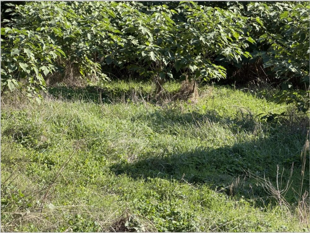 vente Terrain - 630 m² Miramas (13140)
