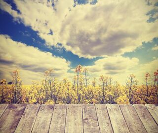  Terrain � vendre 695 m�