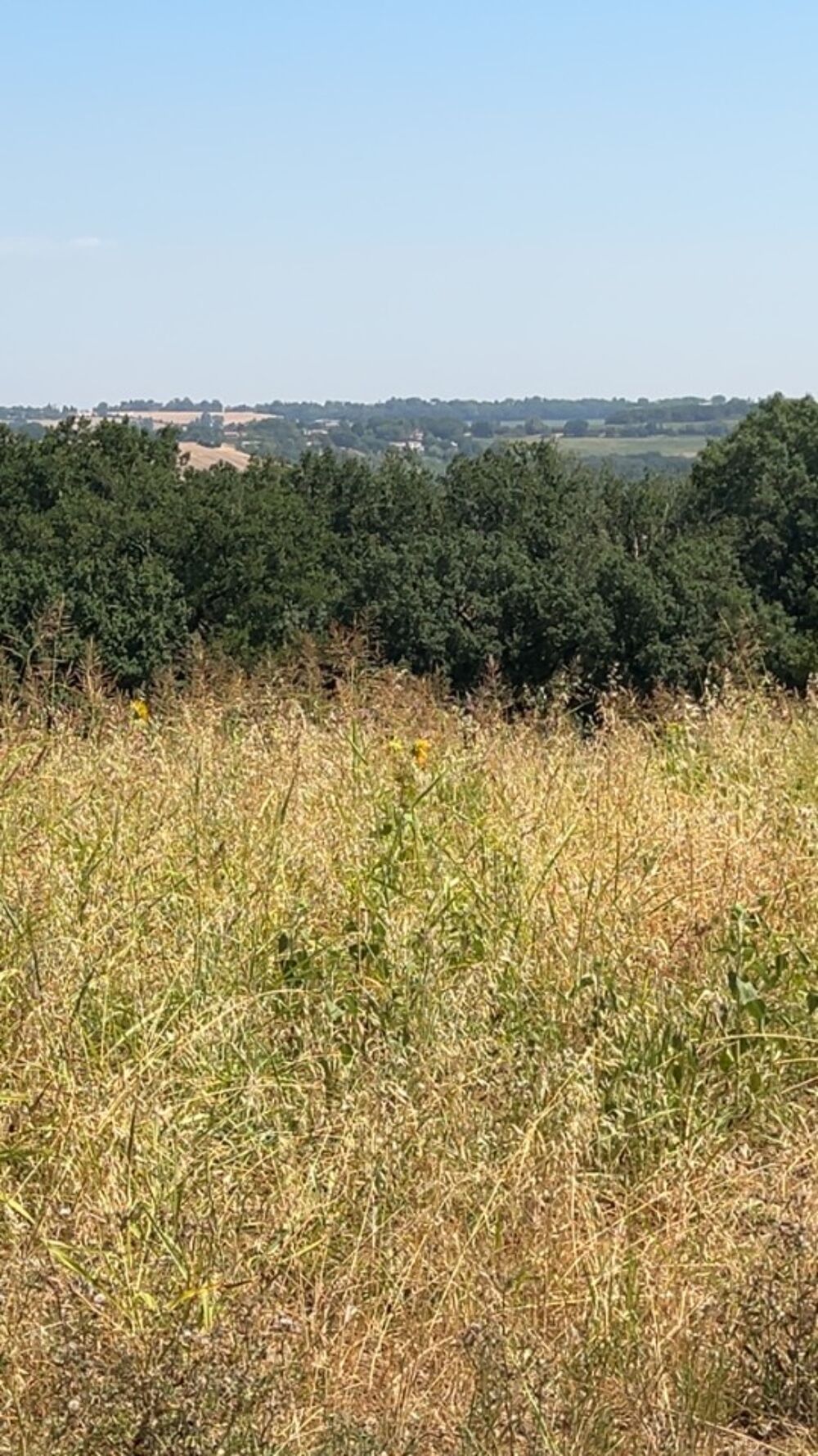 vente Maison - 5 pièce(s) - 110 m² Lacroix-Falgarde (31120)