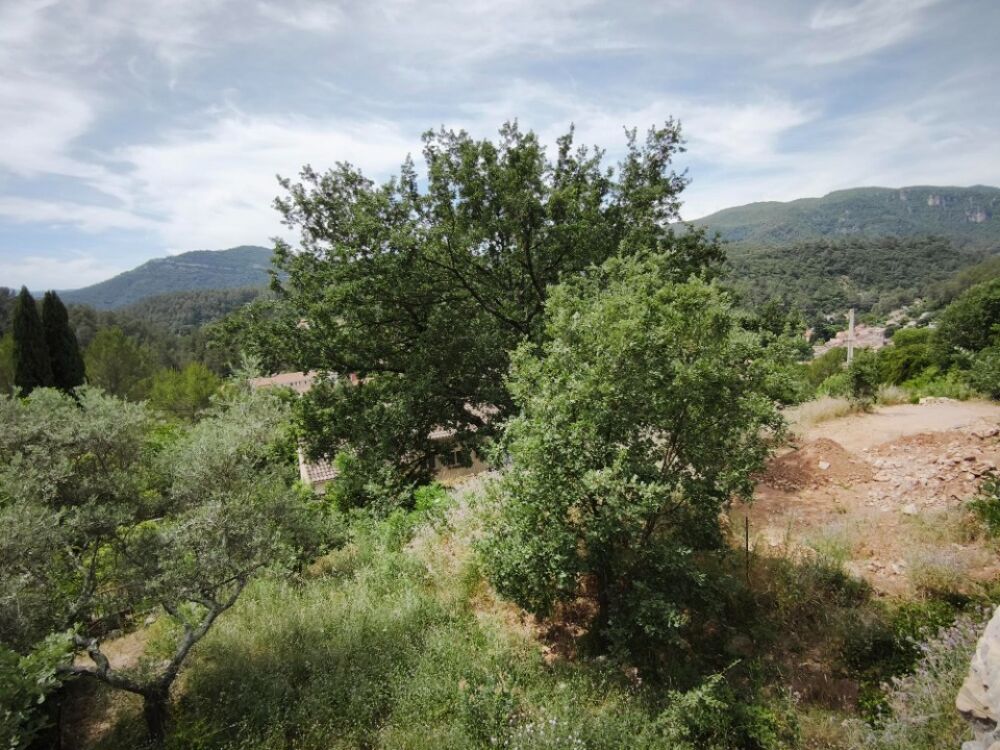vente Terrain - 1017 m² Belgentier (83210)
