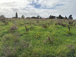  Maison 7 pi�ces 145 m� Bazus