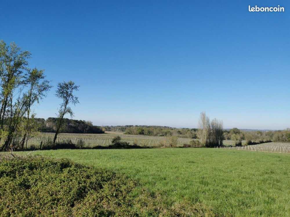 vente Terrain - 2400 m² Targon (33760)