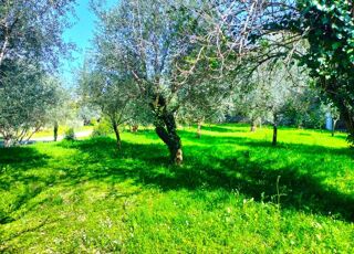  Terrain � vendre 1000 m�