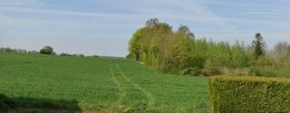  Terrain � vendre 460 m�