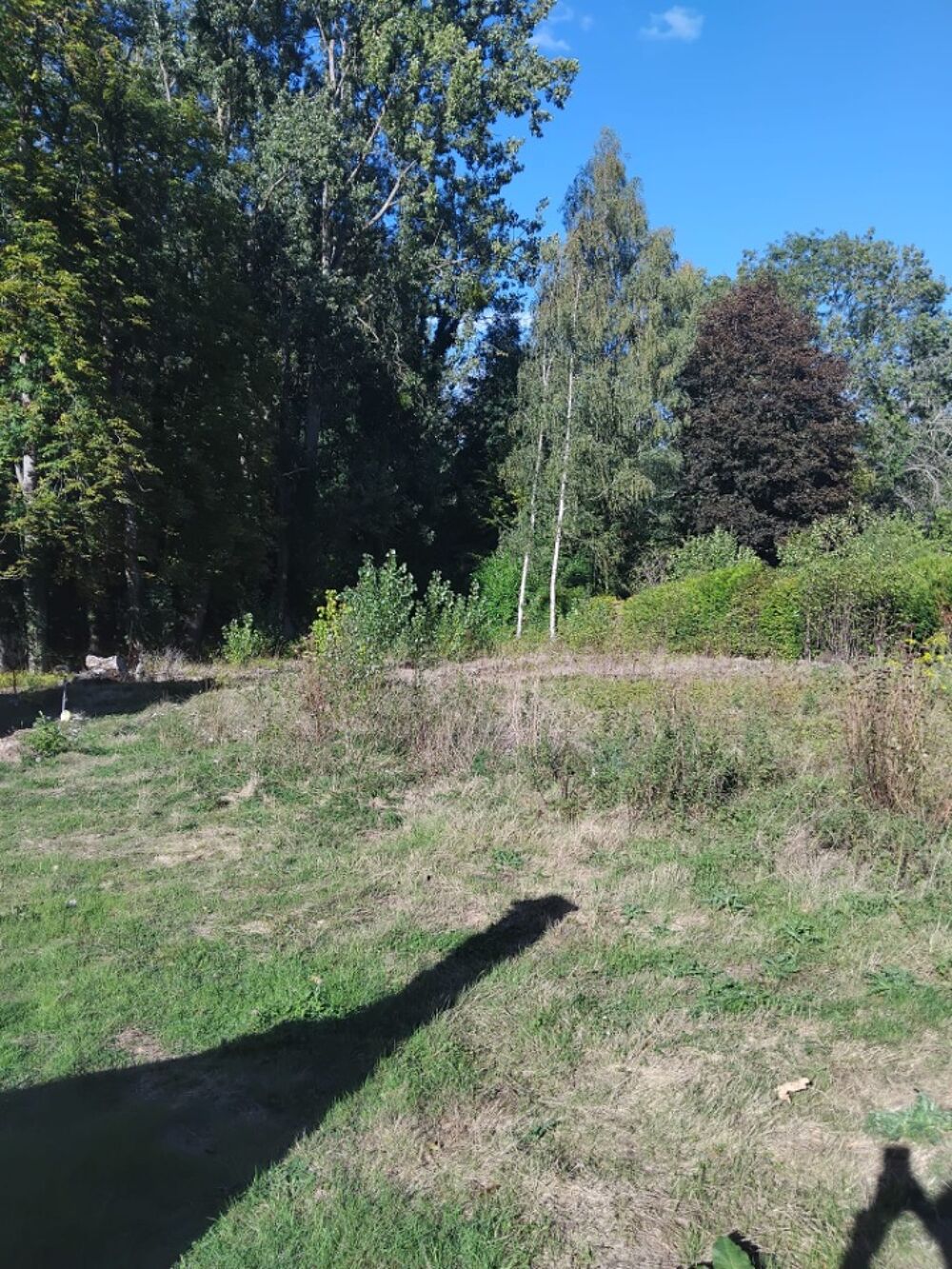 vente Terrain - 1908 m² Saint-Hilarion (78125)