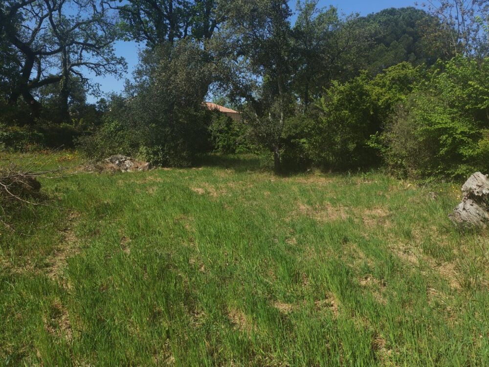 vente Terrain - 620 m² Camps-la-Source (83170)
