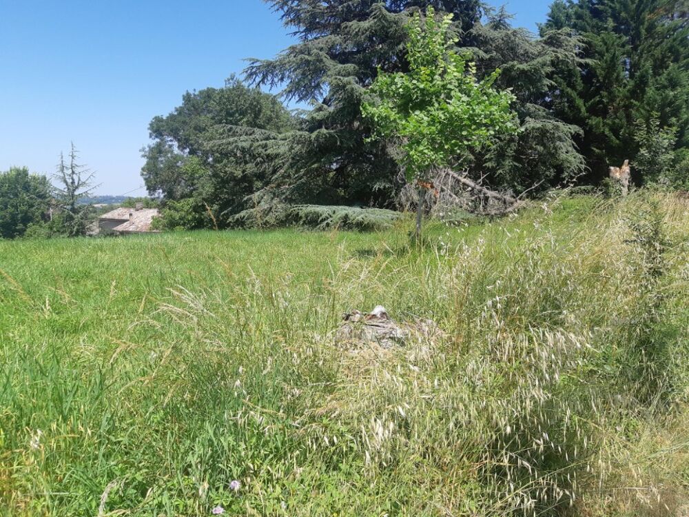 vente Maison - 4 pièce(s) - 142 m² Lapeyrouse-Fossat (31180)