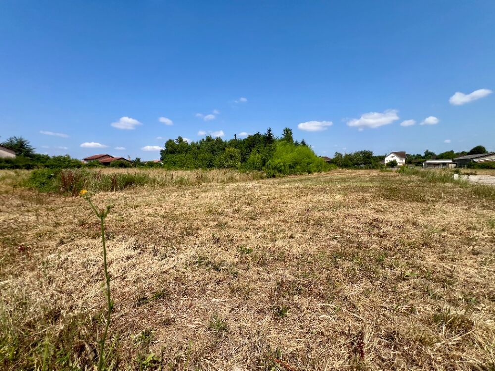 vente Terrain - 601 m² Replonges (01750)