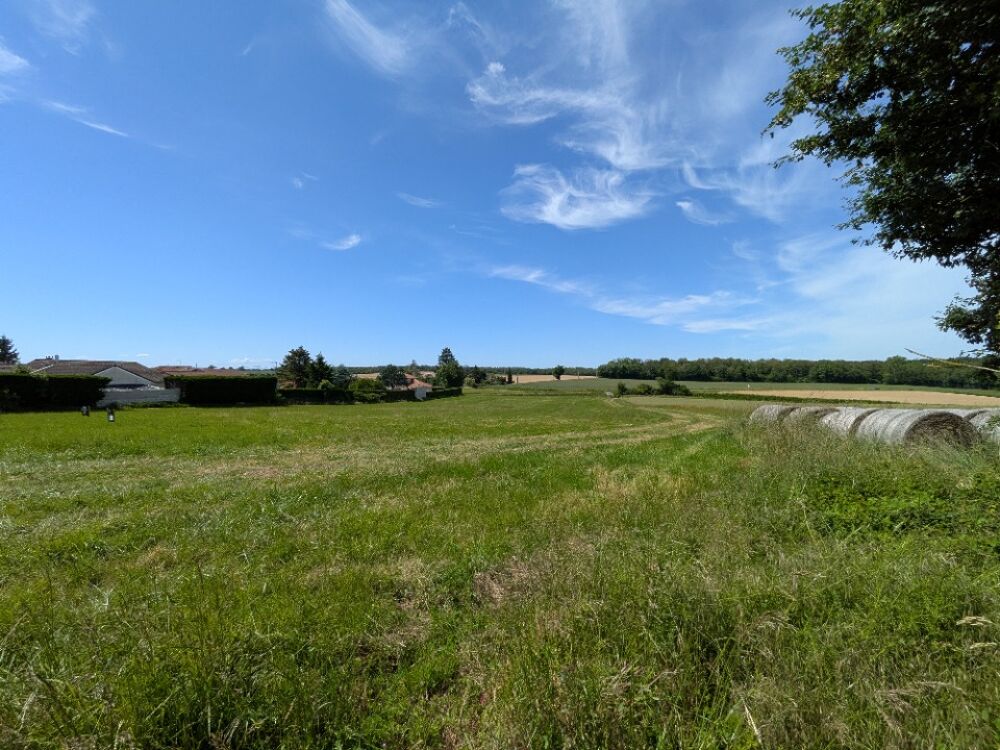 vente Terrain - 555 m² Pizay (01120)