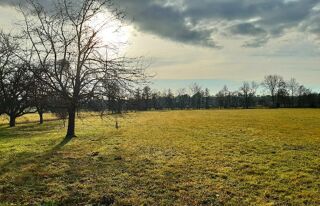  Maison 5 pi�ces 110 m� Balschwiller