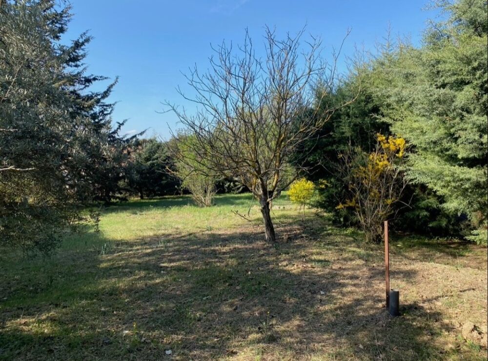 vente Terrain - 2122 m² Saint-Maximin-la-Sainte-Baume (83470)