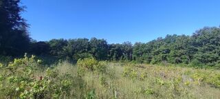  Terrain � vendre 1000 m�