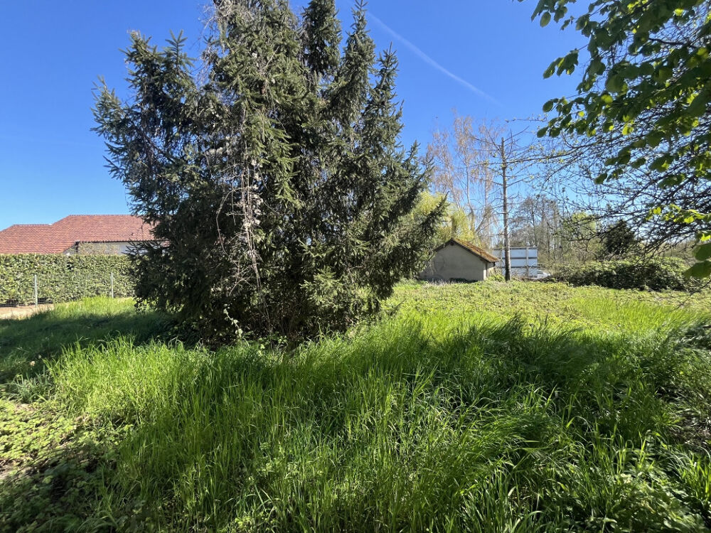vente Terrain - 604 m² Cattenom (57570)