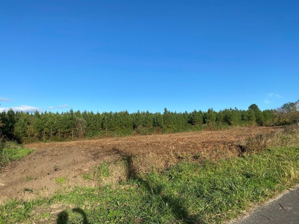 À vendre - Maison neuve RE 2020 avec grand terrain - Env....