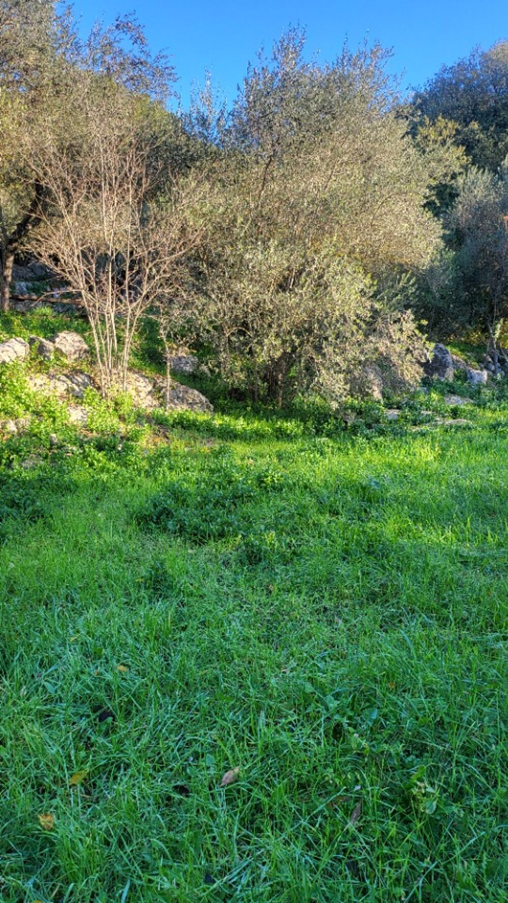 vente Terrain - 910 m² Camps-la-Source (83170)