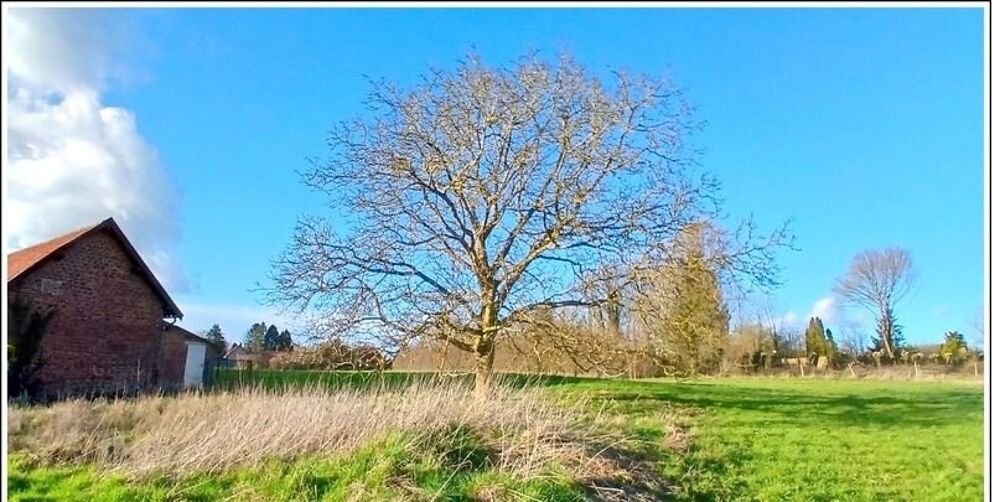 vente Terrain - 1549 m² Bienvillers-au-Bois (62111)