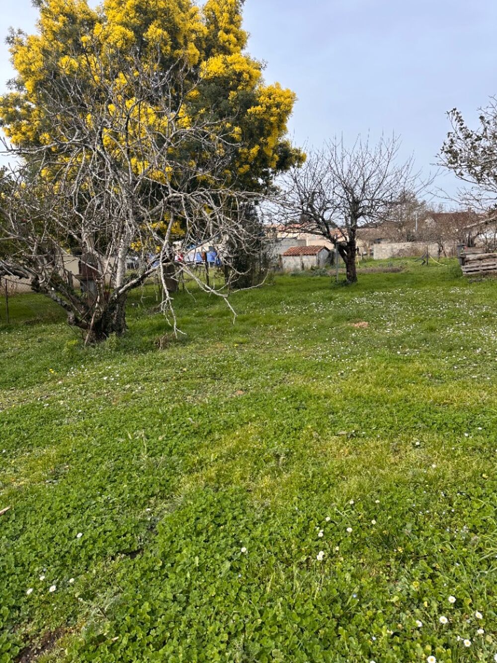 vente Terrain - 1112 m² Saint-Médard-de-Guizières (33230)