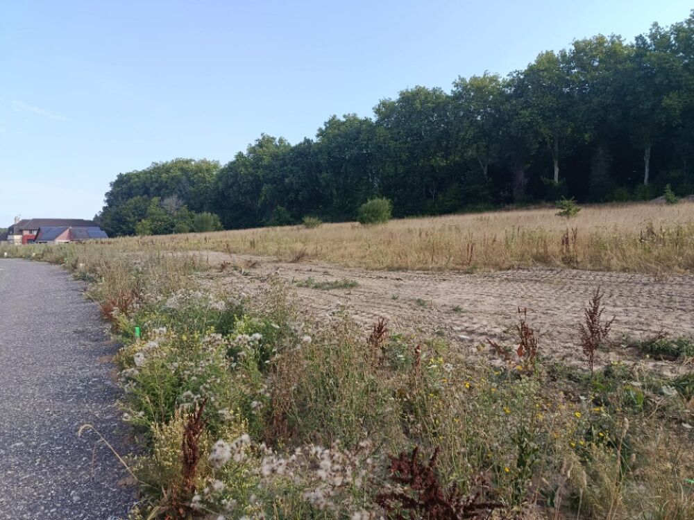 vente Terrain - 505 m² Montfort-sur-Risle (27290)
