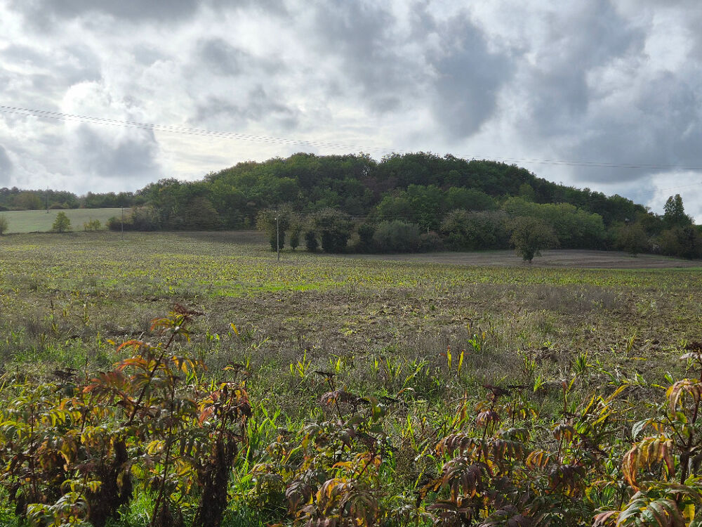 vente Terrain - 1850 m² Chenaud (24410)