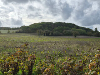 vente Terrain - 1850 m² Chenaud (24410)