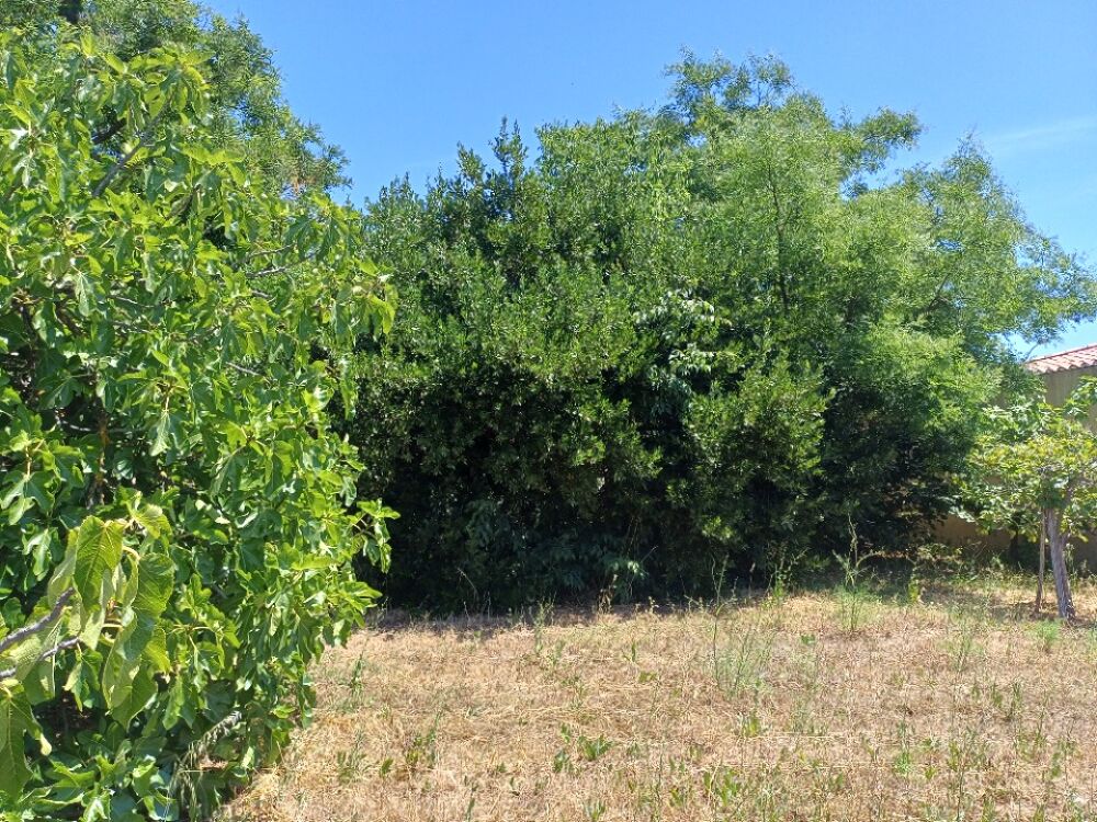 vente Terrain - 407 m² La Crau (83260)