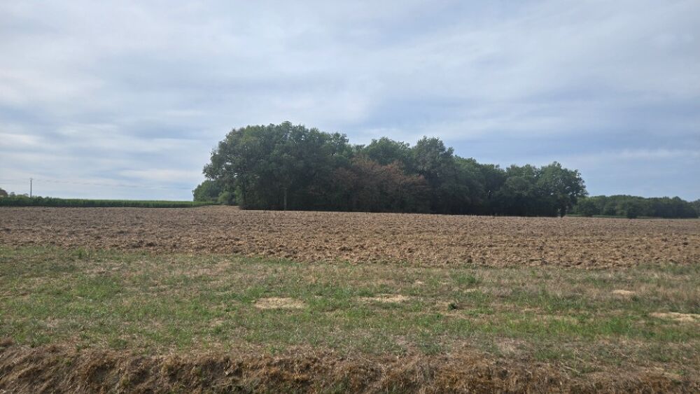 vente Terrain - 2530 m² Saint-Savin (33920)