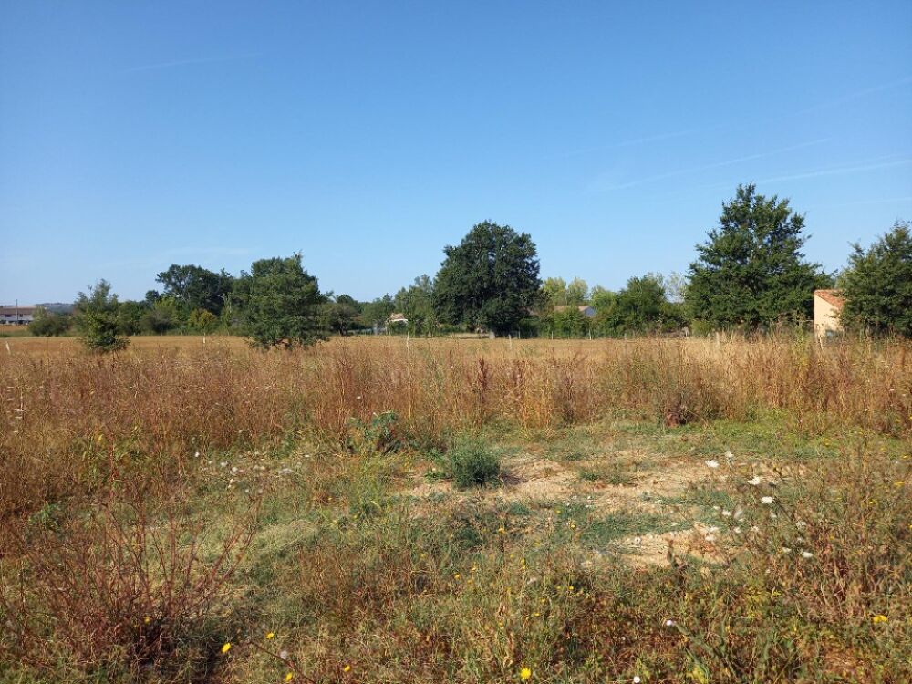 vente Maison - 4 pièce(s) - 72 m² Saint-Jean-de-Rives (81500)