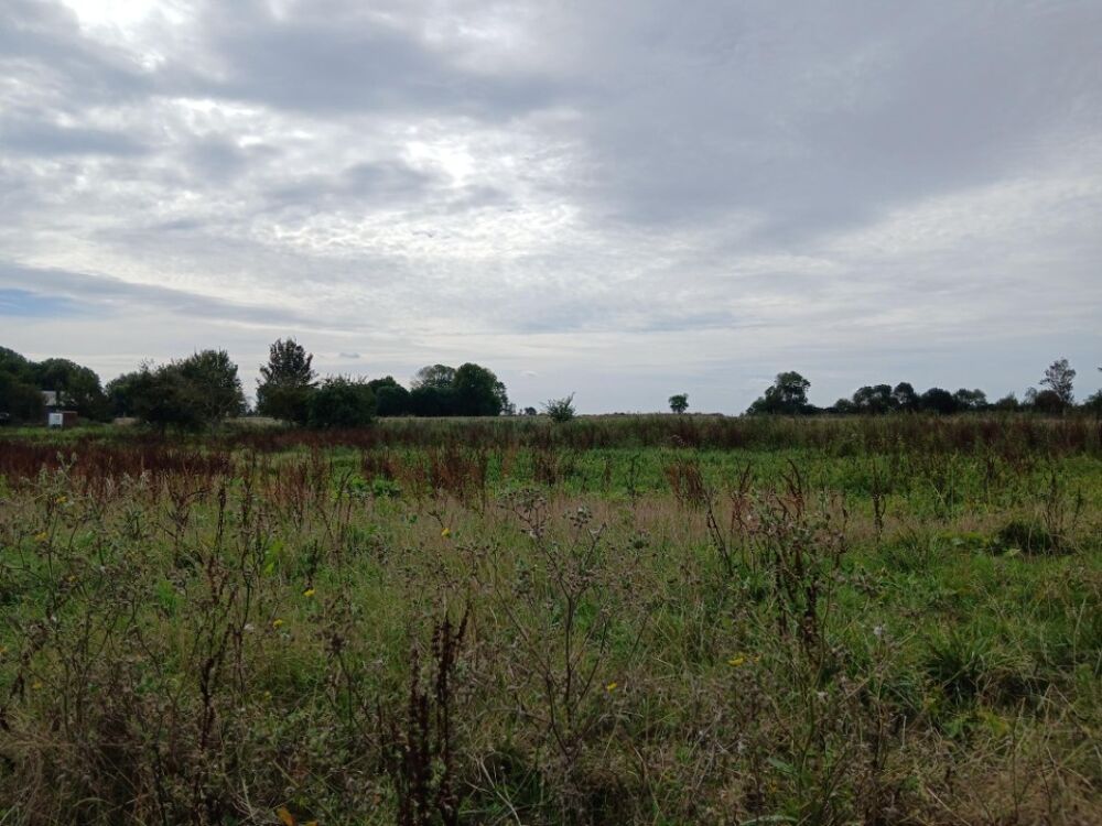 vente Terrain - 890 m² Sainte-Croix-sur-Mer (14480)