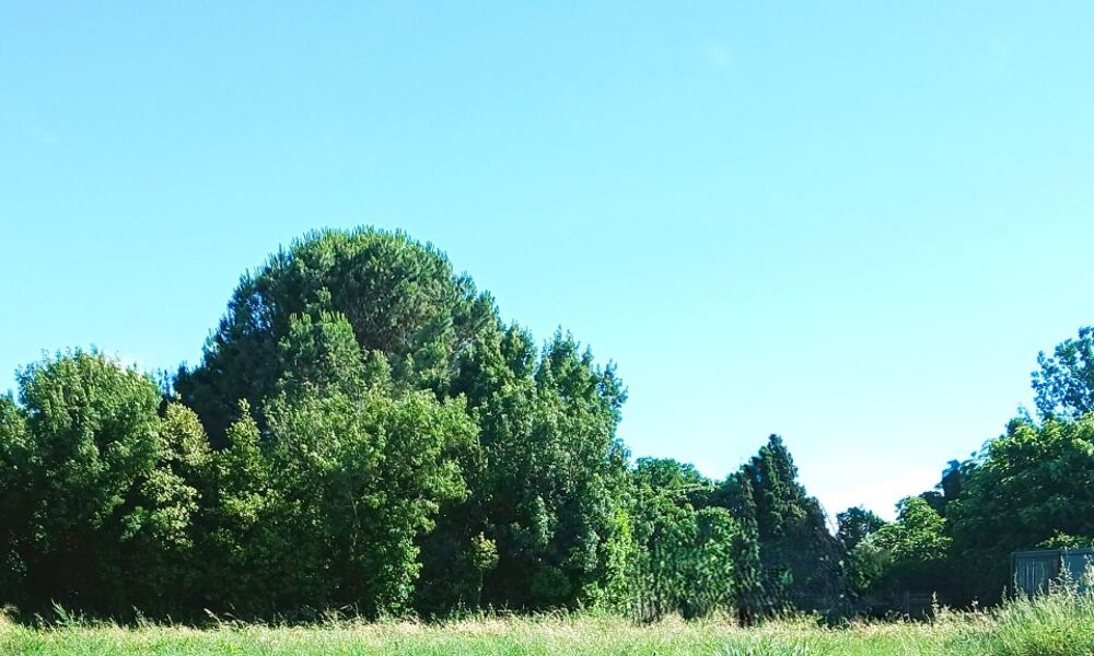 MAISON À CONSTRUIRE DE 143 M² À BOMPAS, PROCHE DE PERPIG....