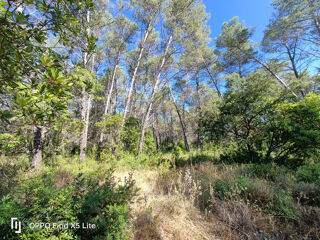  Terrain � vendre 1201 m�