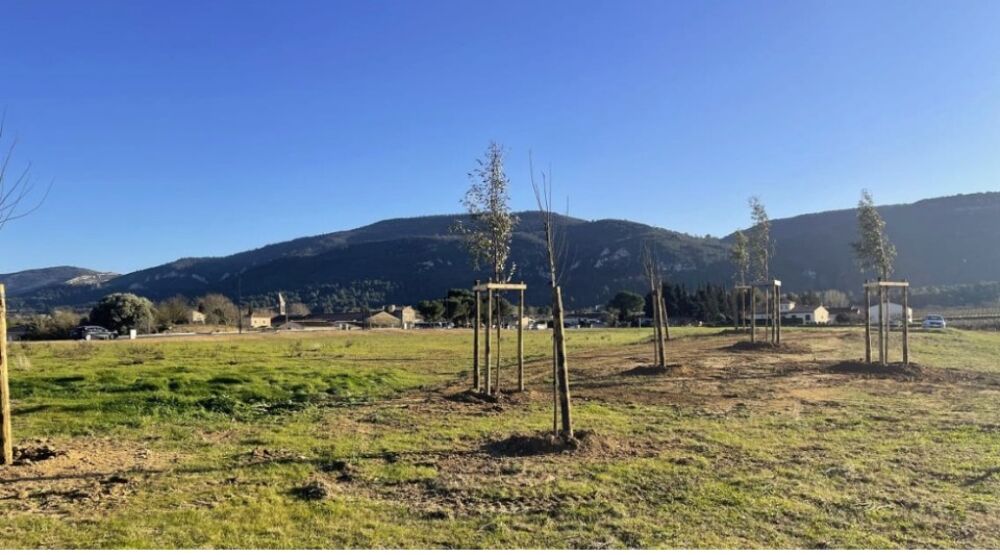 vente Terrain - 1239 m² Floure (11800)