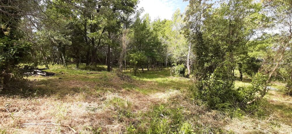 vente Terrain - 976 m² Flayosc (83780)