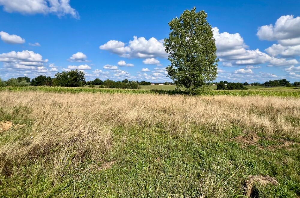 vente Terrain - 1113 m² Saint-Martin-le-Châtel (01310)