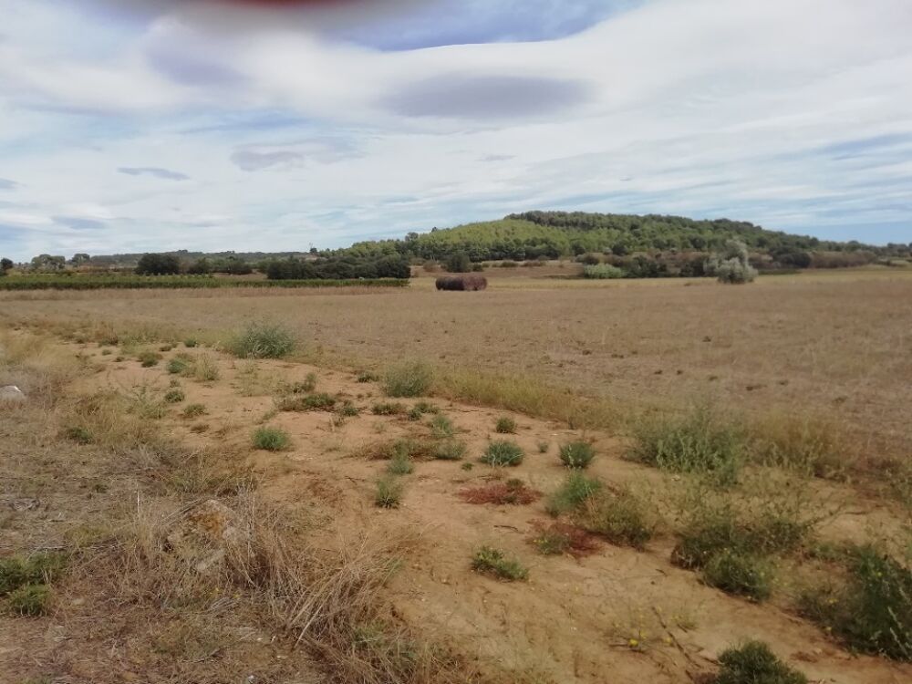 vente Terrain - 368 m² Lignan-sur-Orb (34490)