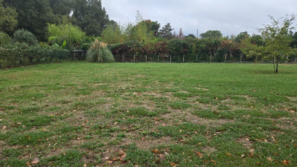 vente Terrain - 1100 m² Saint-Savin (33920)