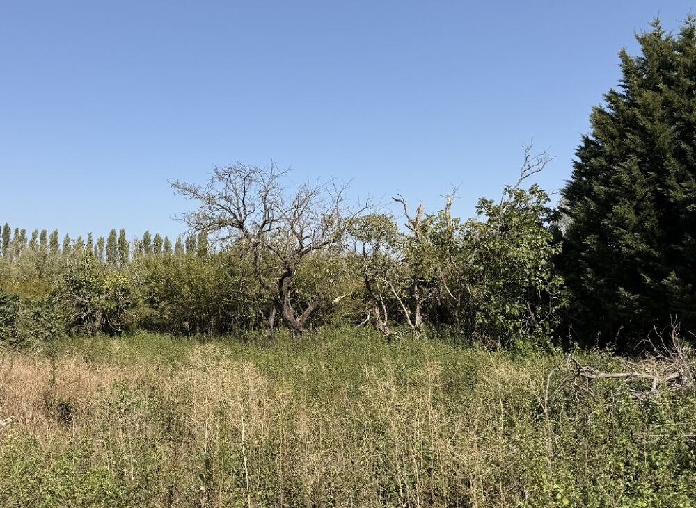 vente Maison - 5 pièce(s) - 112 m² Castelnaudary (11400)